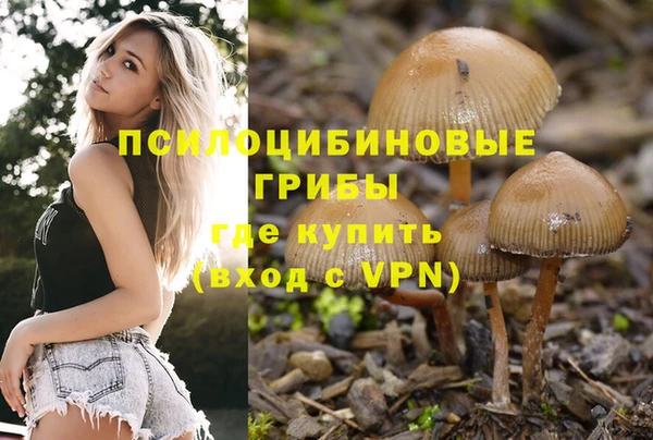 винт Кулебаки