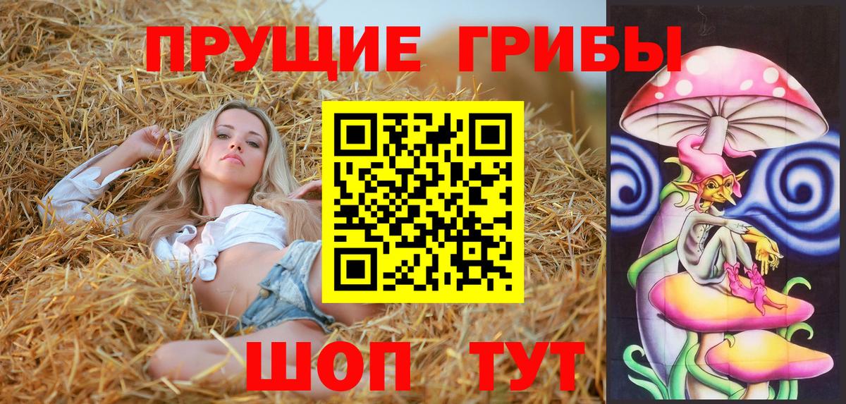 Псилоцибиновые грибы мицелий Учалы