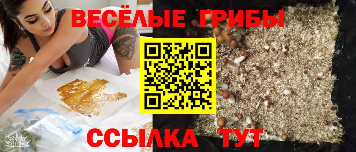 Галлюциногенные грибы MAGIC MUSHROOMS  наркота  Псилоцибиновые грибы Psilocybine cubensis  Учалы 