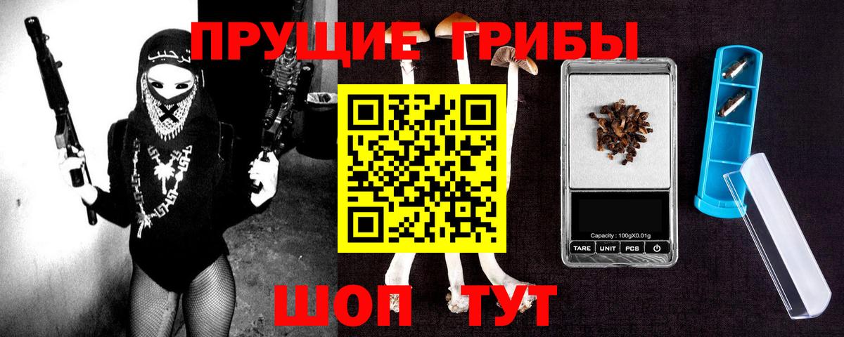 купить наркоту  Вход с VPN  Псилоцибиновые грибы Magic Shrooms  Учалы  Псилоцибиновые грибы MAGIC MUSHROOMS 