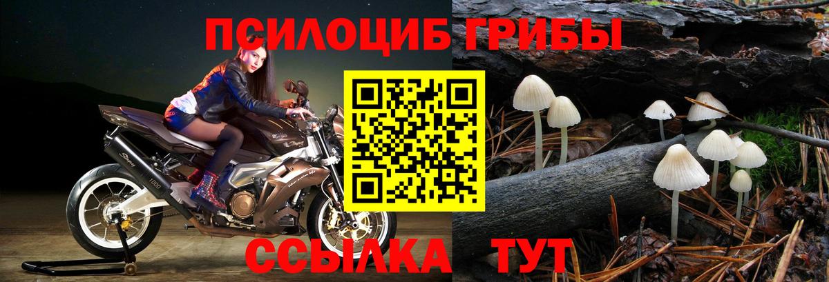 Галлюциногенные грибы GOLDEN TEACHER Учалы