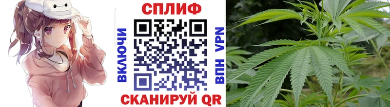 Шишки марихуана план  Учалы 